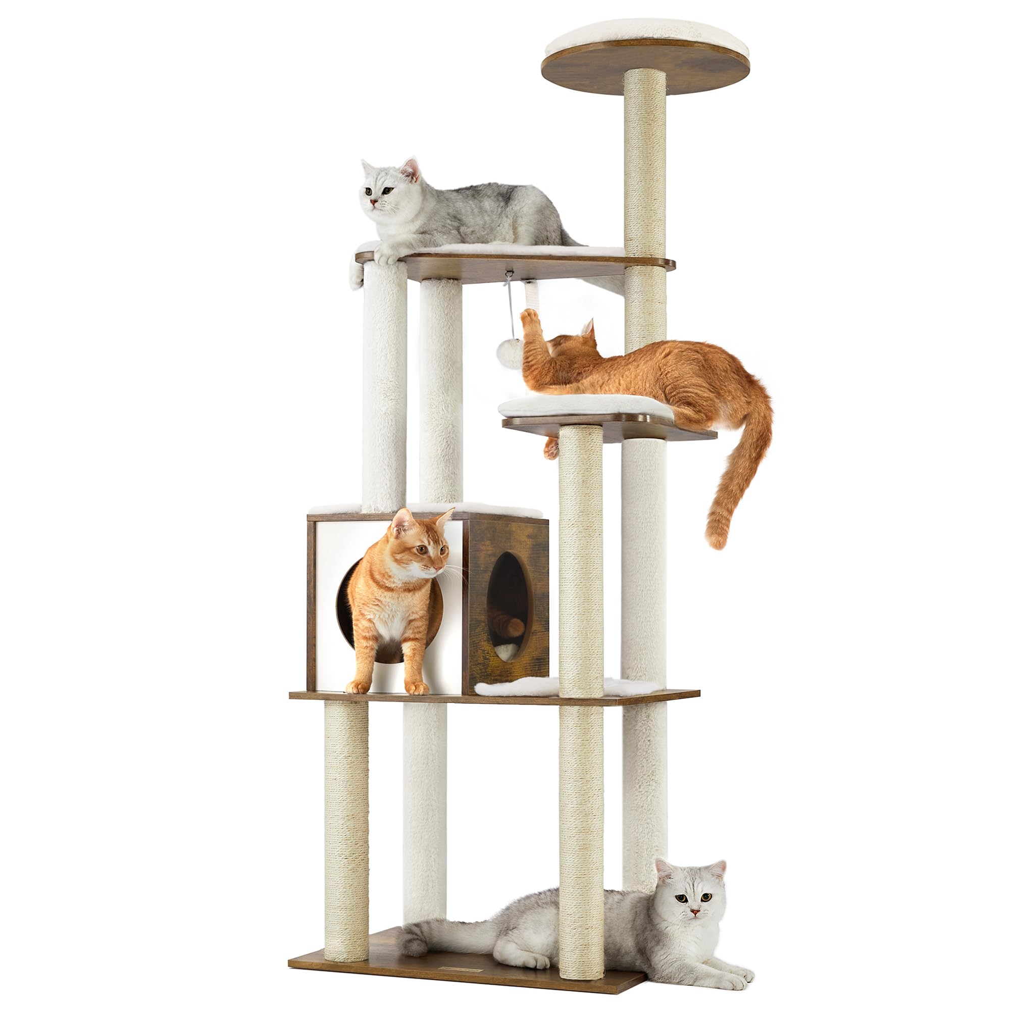 Feandrea cat tree top perch for a high vantage point and relaxation.