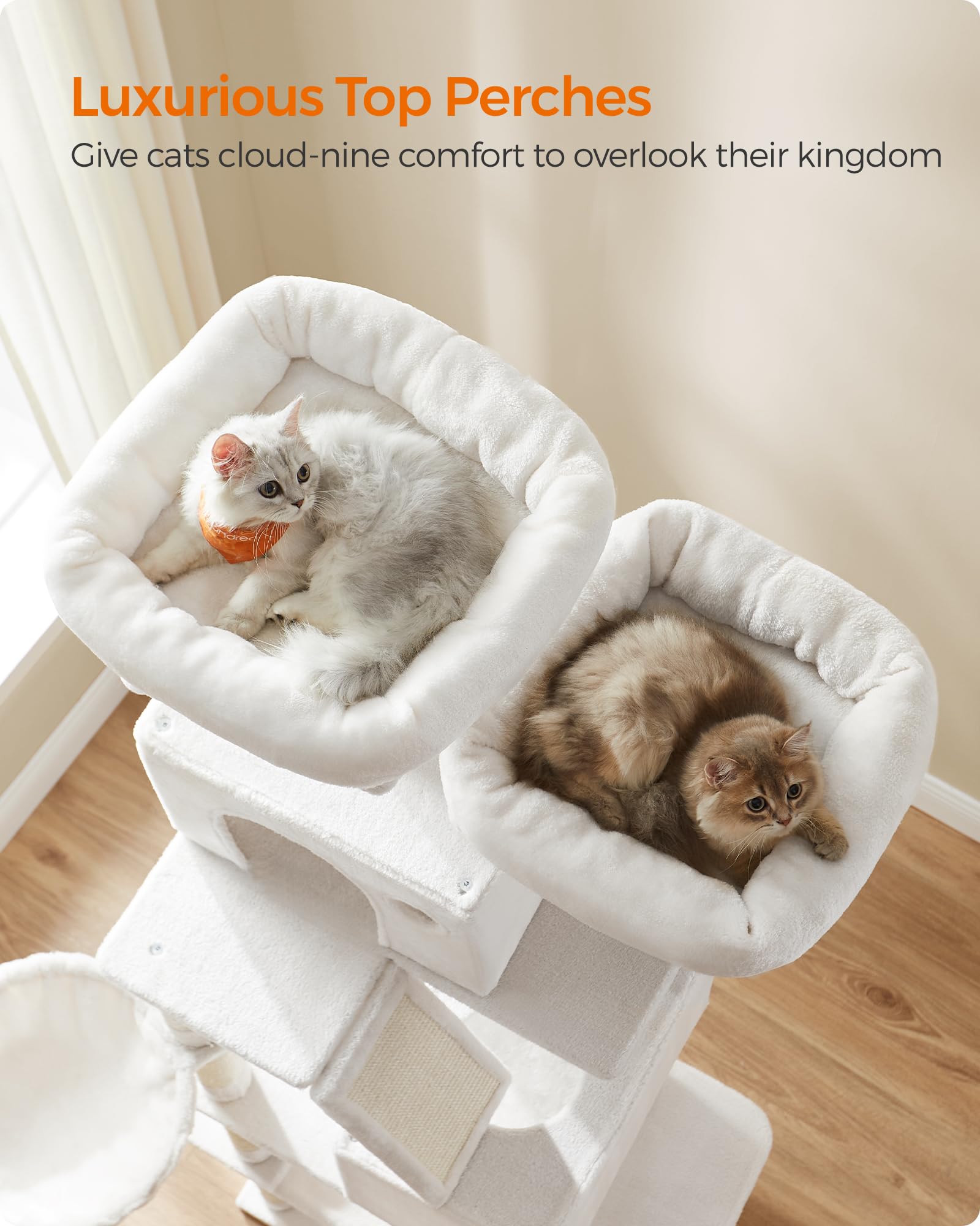 Feandrea cat tree featuring two caves for cozy naps and privacy.