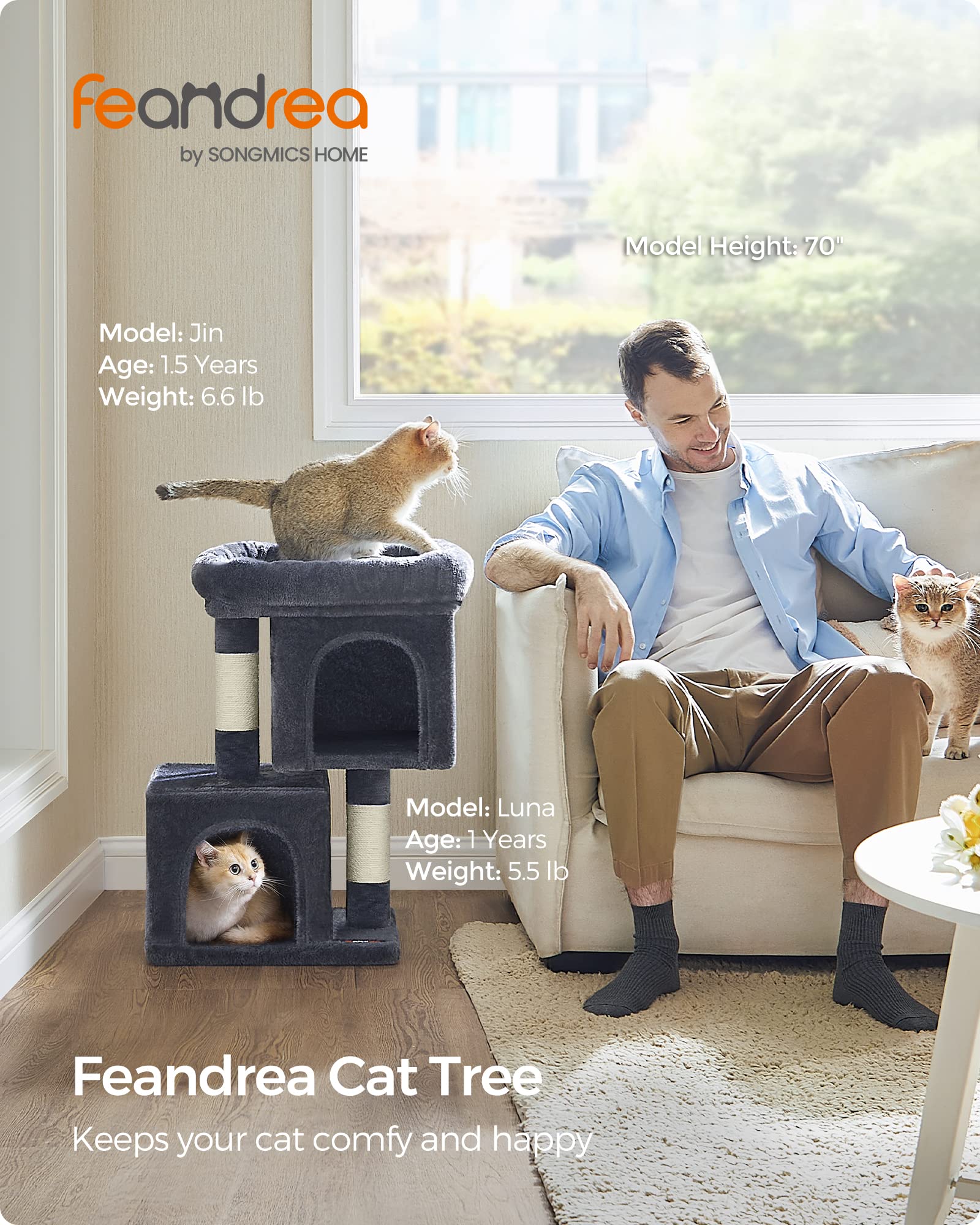 Feandrea upper cave view provides a cozy lookout for curious cats