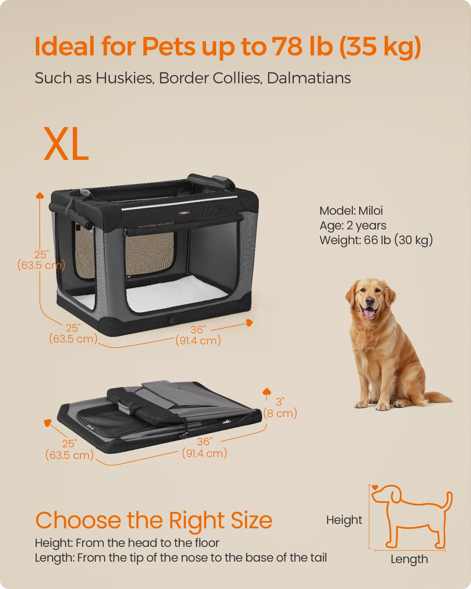 Feandrea 36-inch crate suitable for large dogs up to 78 lb