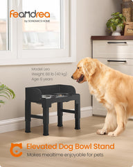 Feandrea dual-bowl setup with slow feeder promotes mindful eating.