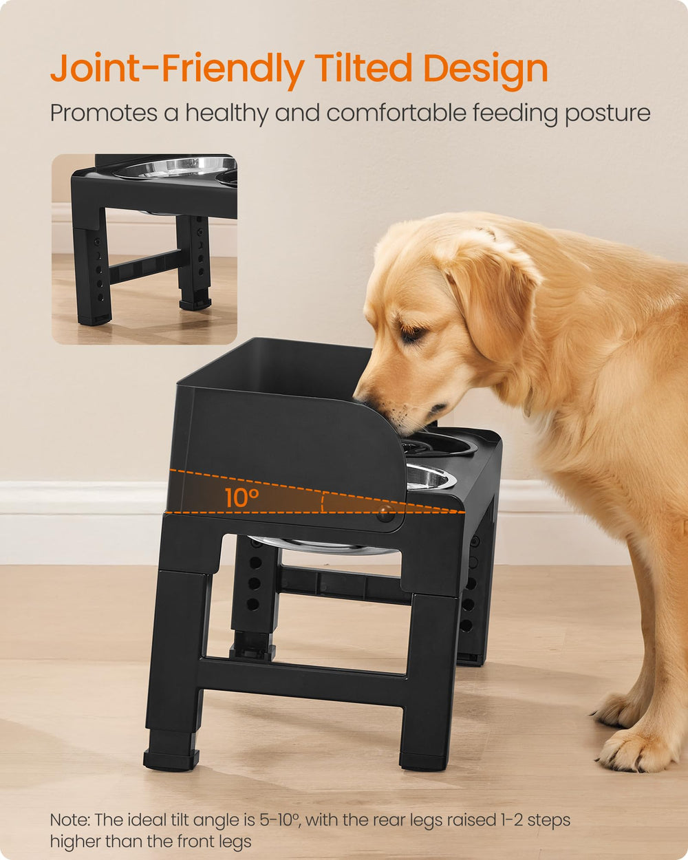Feandrea adjustable height stand accommodates various dog breeds.