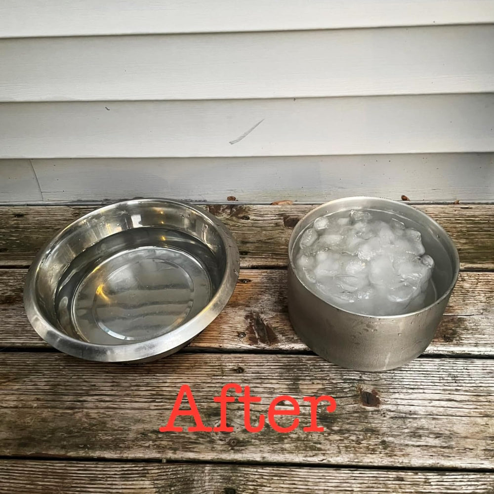 Feedoo 200mm inner diameter and 80mm height suitable for medium to large dogs