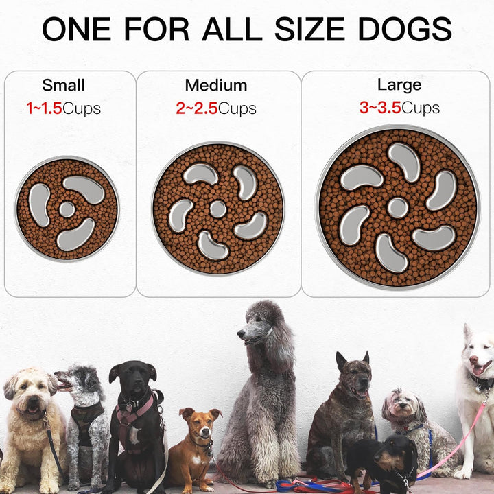 Feedoo double-layer stainless steel bowl shows sturdy, rust-resistant construction.