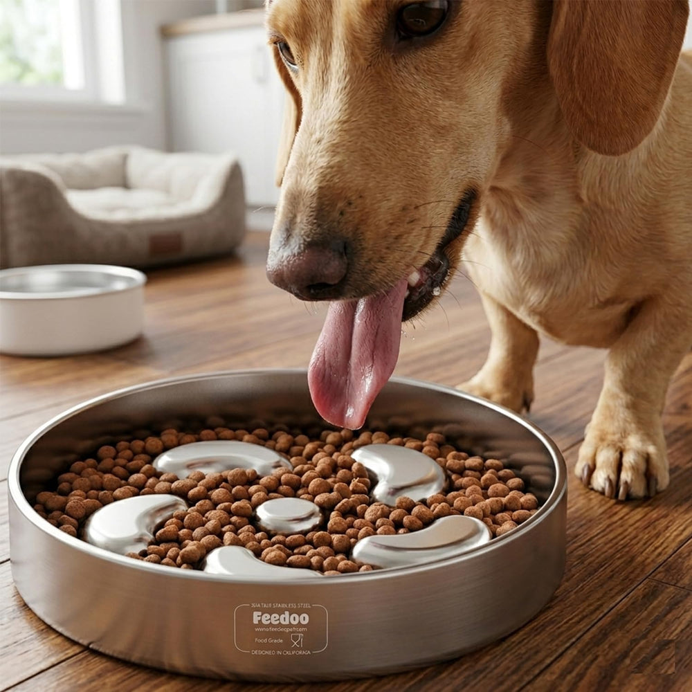 Feedoo flower-shaped design adds playful style to mealtime.