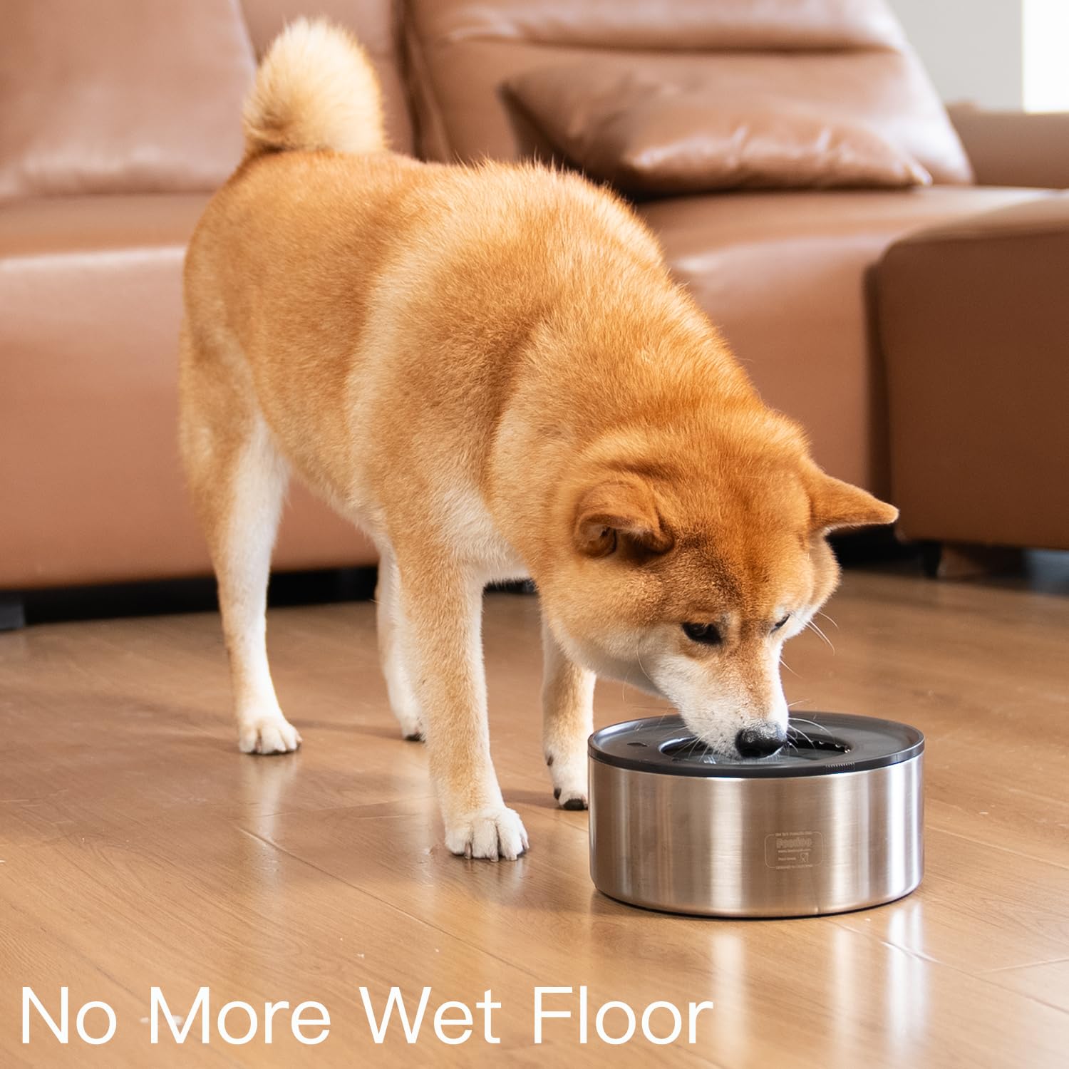 Feedoo happy dog drinking demonstrates mess-free hydration.