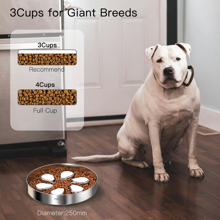 Feedoo large-breed maze dish with non-slip base for steadier meals