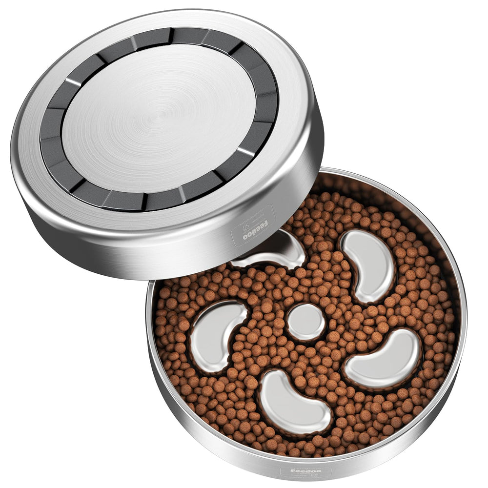 Feedoo compatible with medium breed routines for paced meals and less mess.