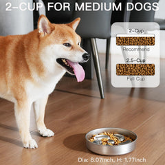 Feedoo stainless-steel interior of the dog bowl looks clean and rust-resistant for daily meals.