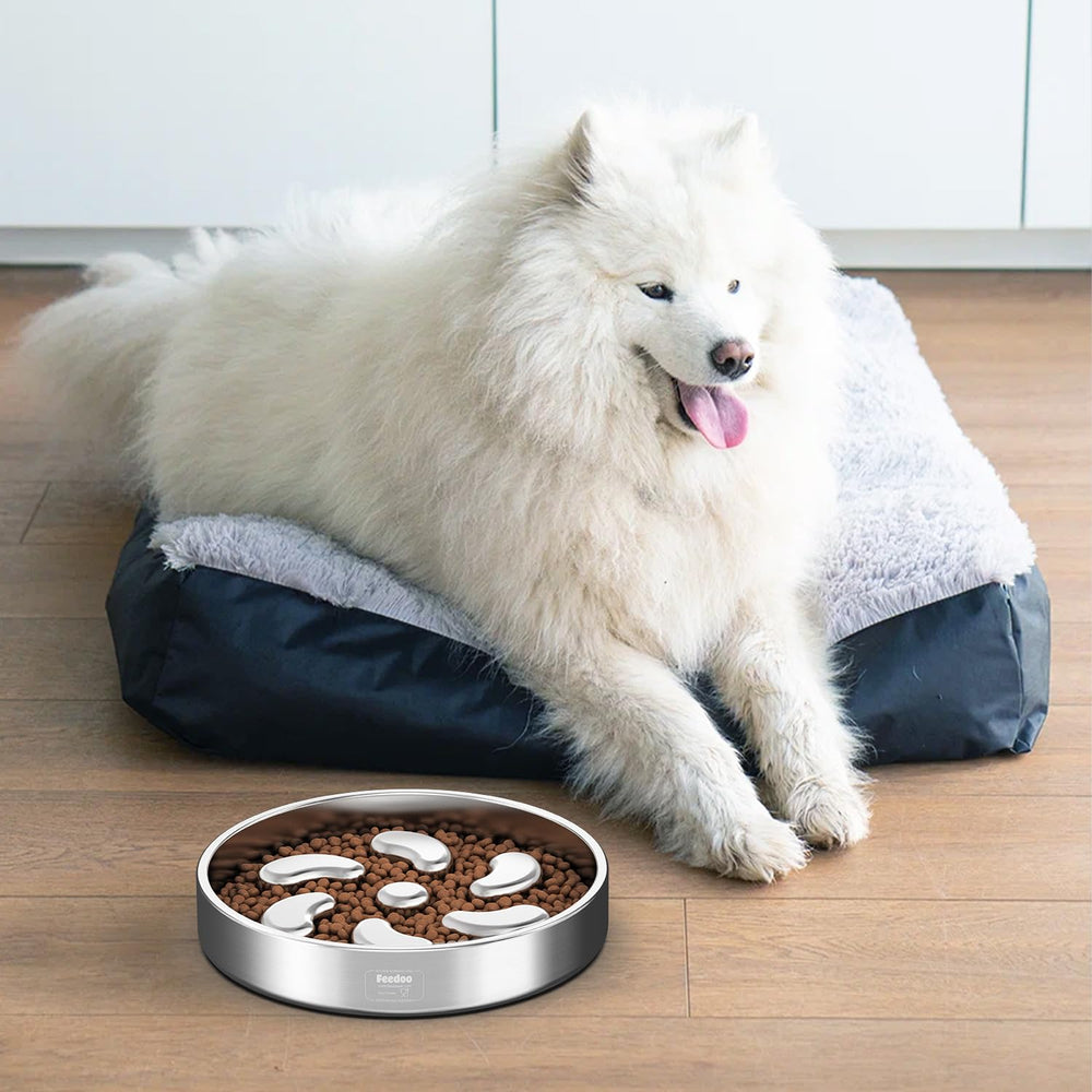 Feedoo two-pack provides a spare bowl for busy households