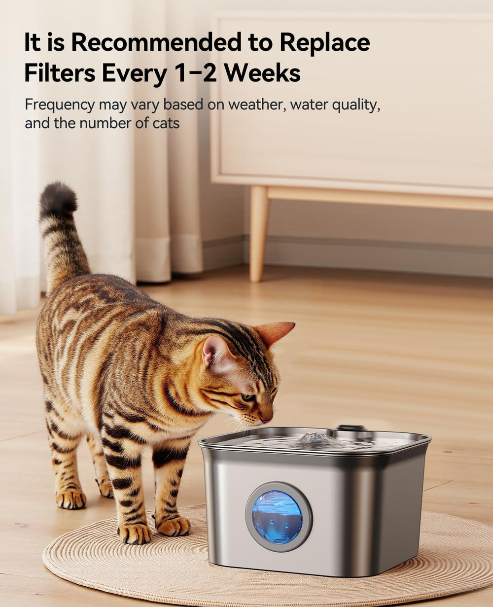 FEELNEEDY filtration in action keeping water circulating and fresh