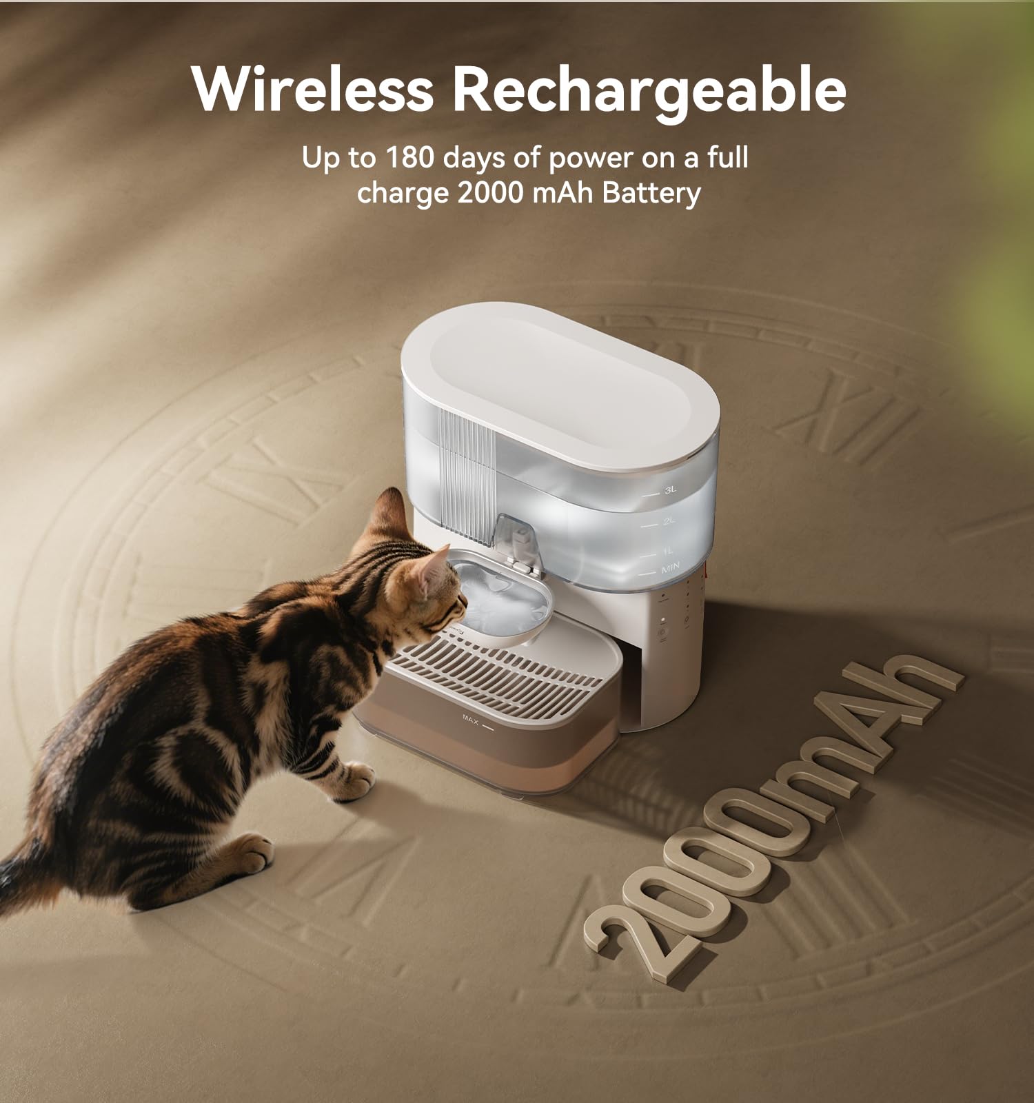 FEELNEEDY 304 stainless steel bowl resists rust for clean sips