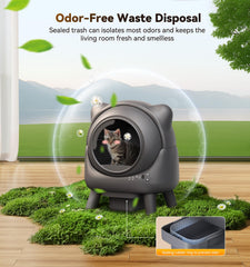 FEELNEEDY safety sensors prevent entrapment during cleaning cycles.