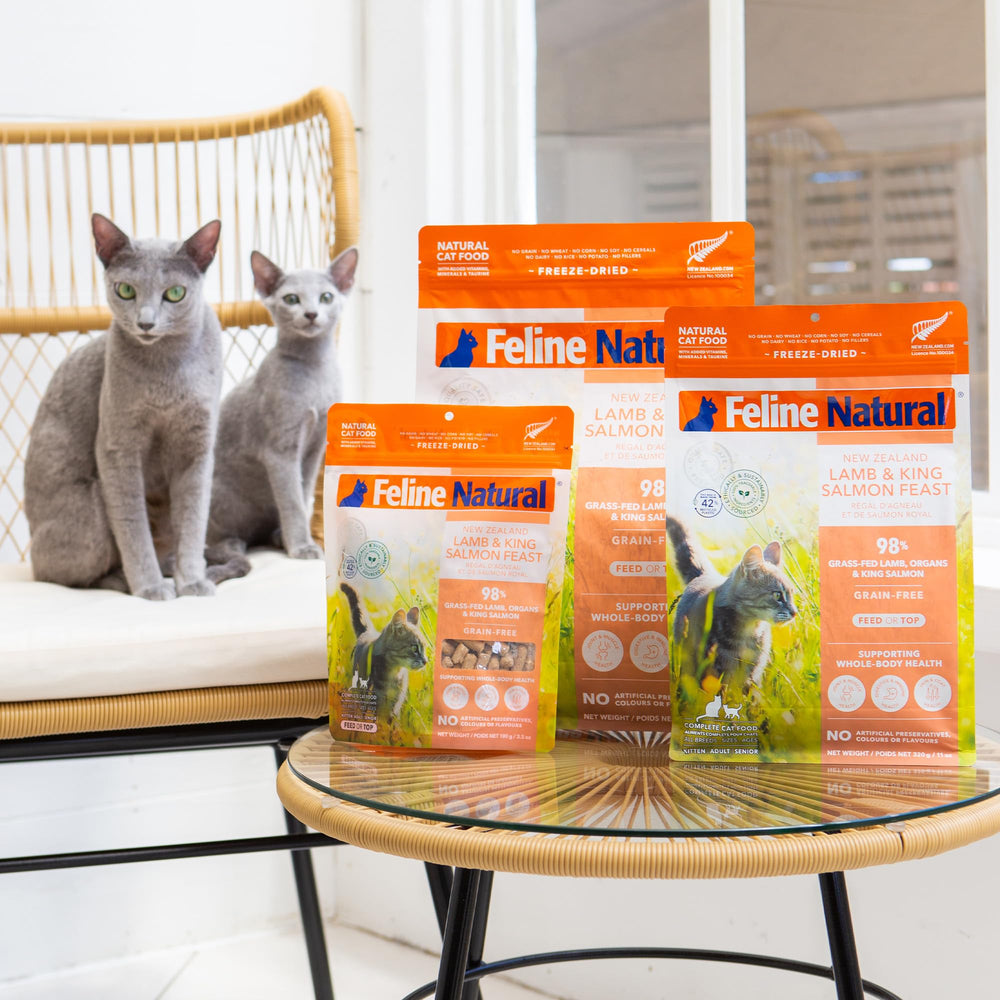 Feline Natural cat enjoying a small serving illustrates convenient feeding routine.