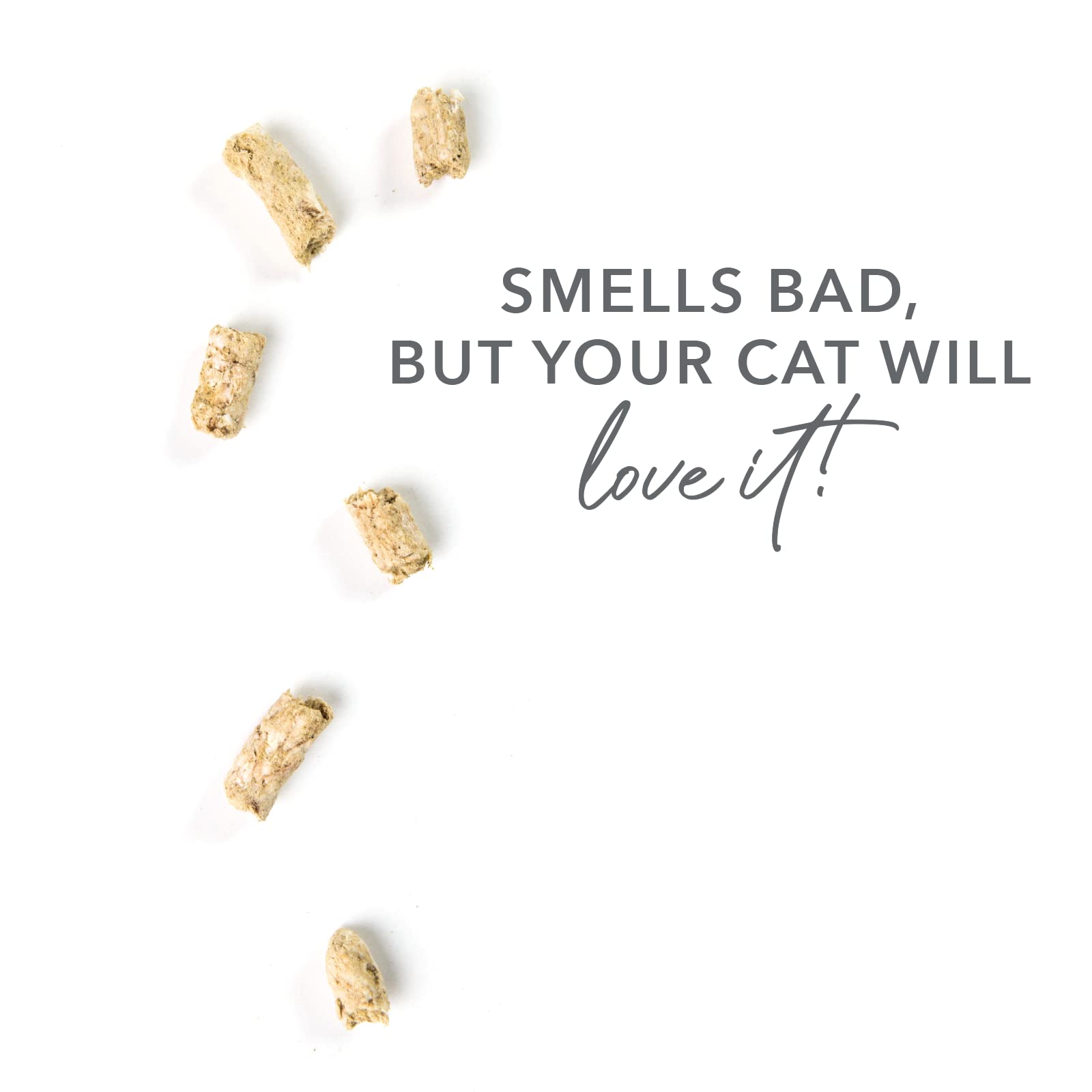 Feline Natural cat meal topper served over kibble to enhance nutrition.