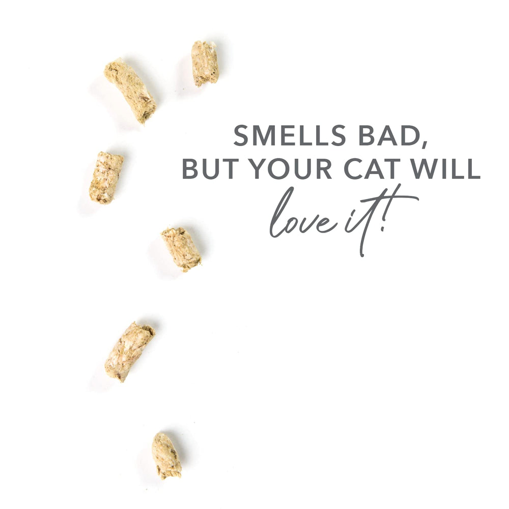 Feline Natural cat meal topper served over kibble to enhance nutrition.