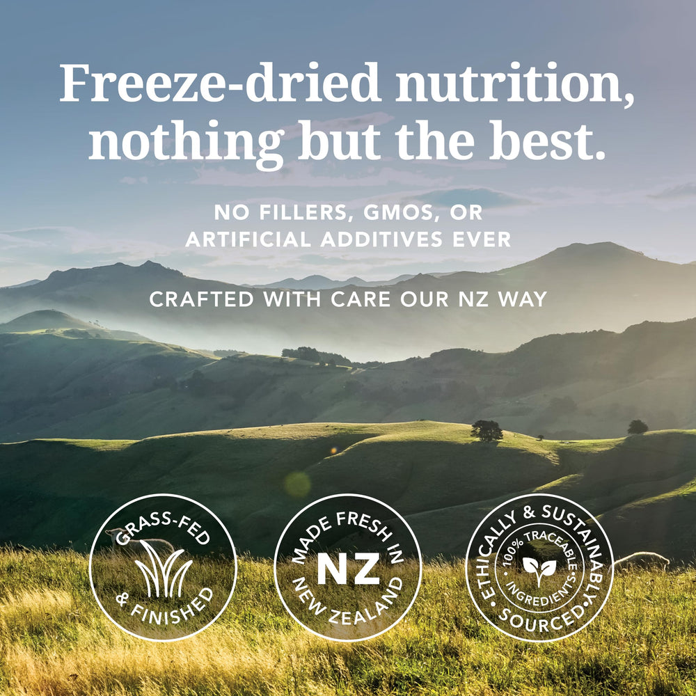 Feline Natural freeze-dried kibble close-up highlights premium meat and organ ingredients.