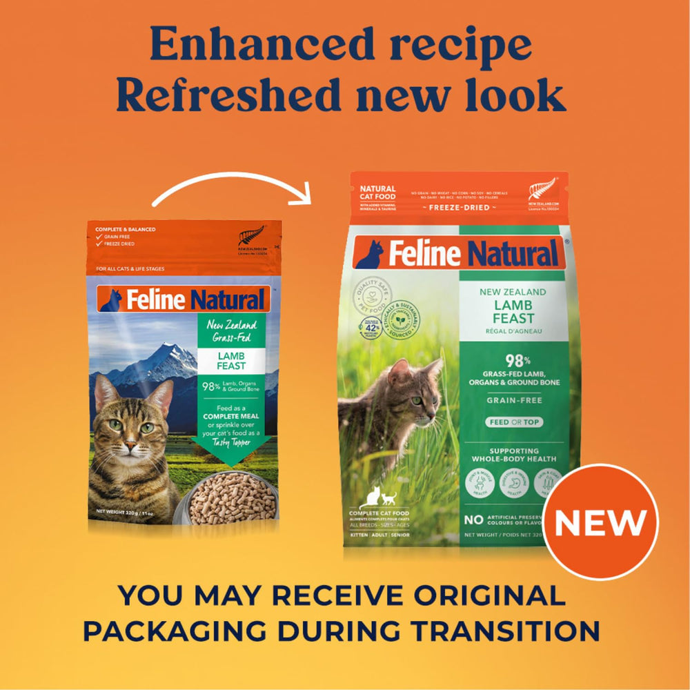Feline Natural high-protein dry cat food grain-free label highlights no grains in diet.