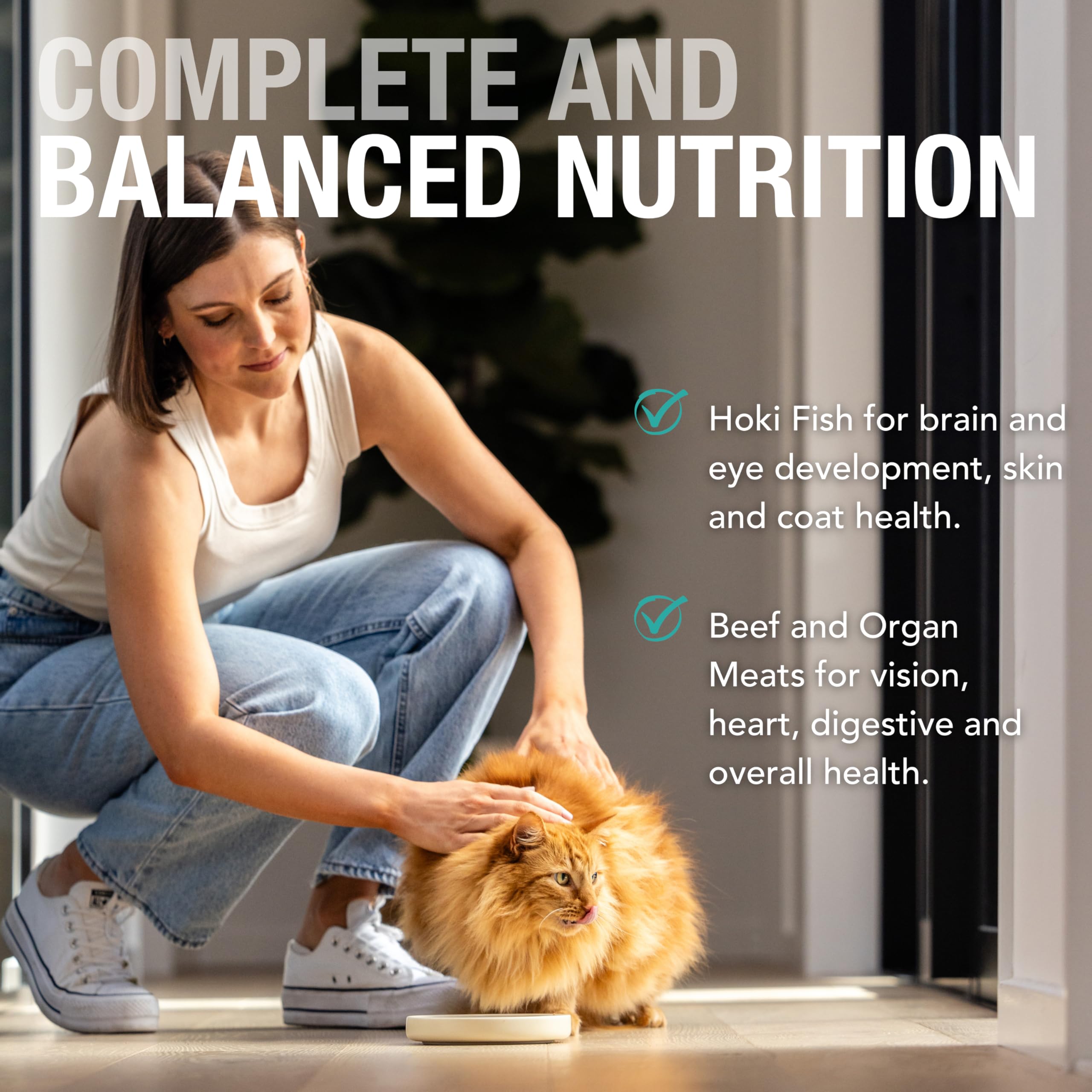 Feline Natural Hoki-Beef Pâté Pouch—grain-free formula supporting hydration through high moisture.