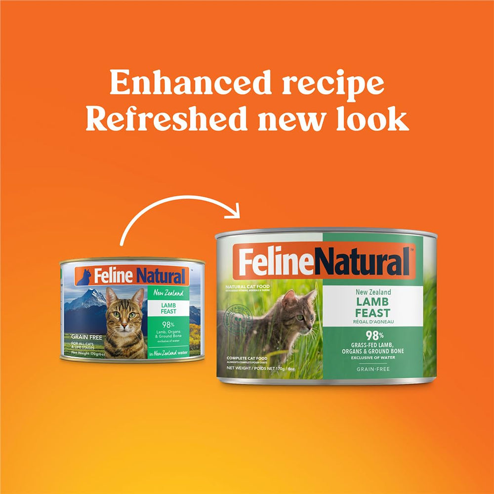 Feline Natural Lamb Feast serving; soft pate texture ideal for picky eaters