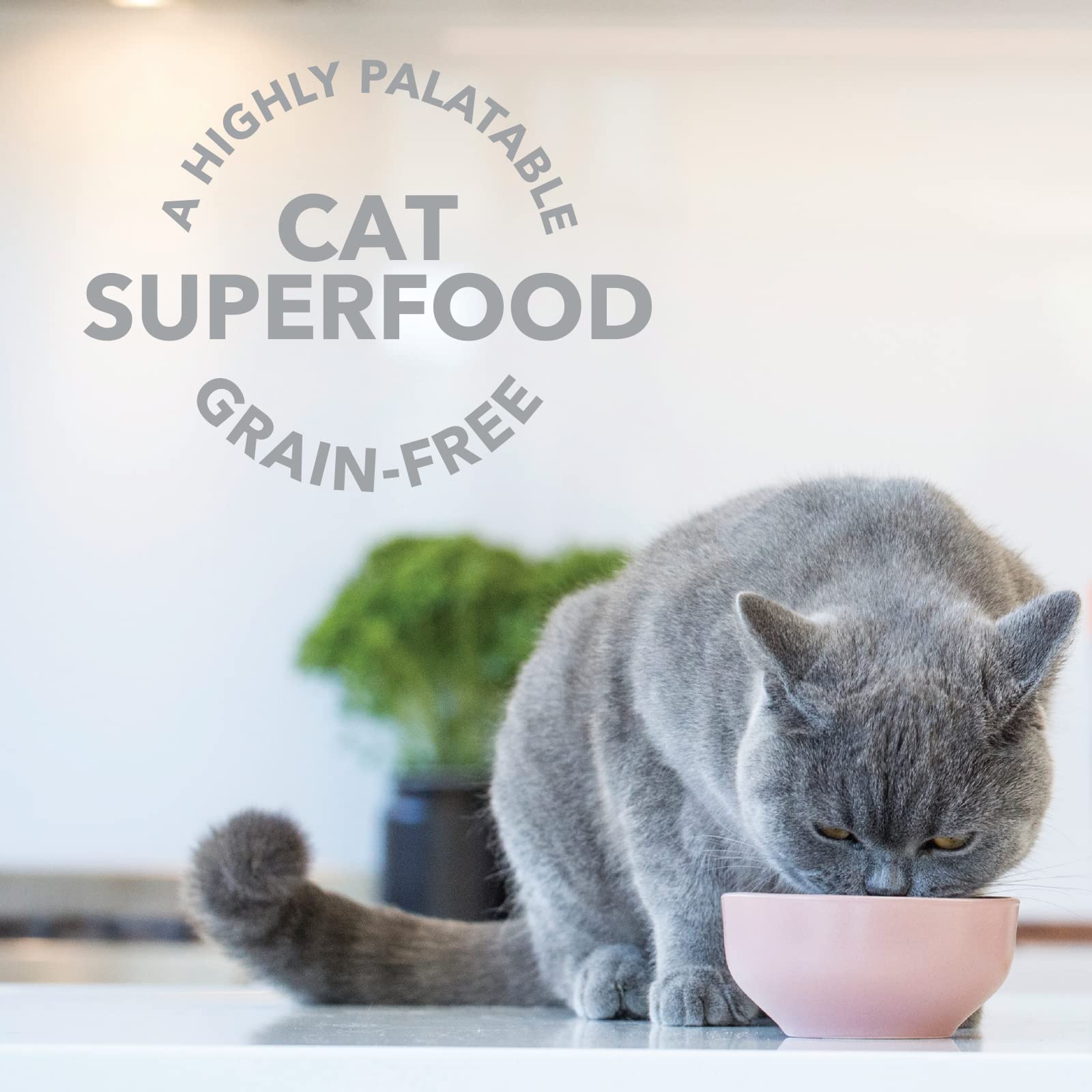 Feline Natural New Zealand lamb ingredients label highlights grass-fed source.
