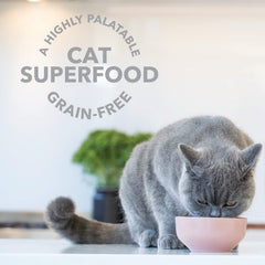 Feline Natural New Zealand lamb ingredients label highlights grass-fed source.