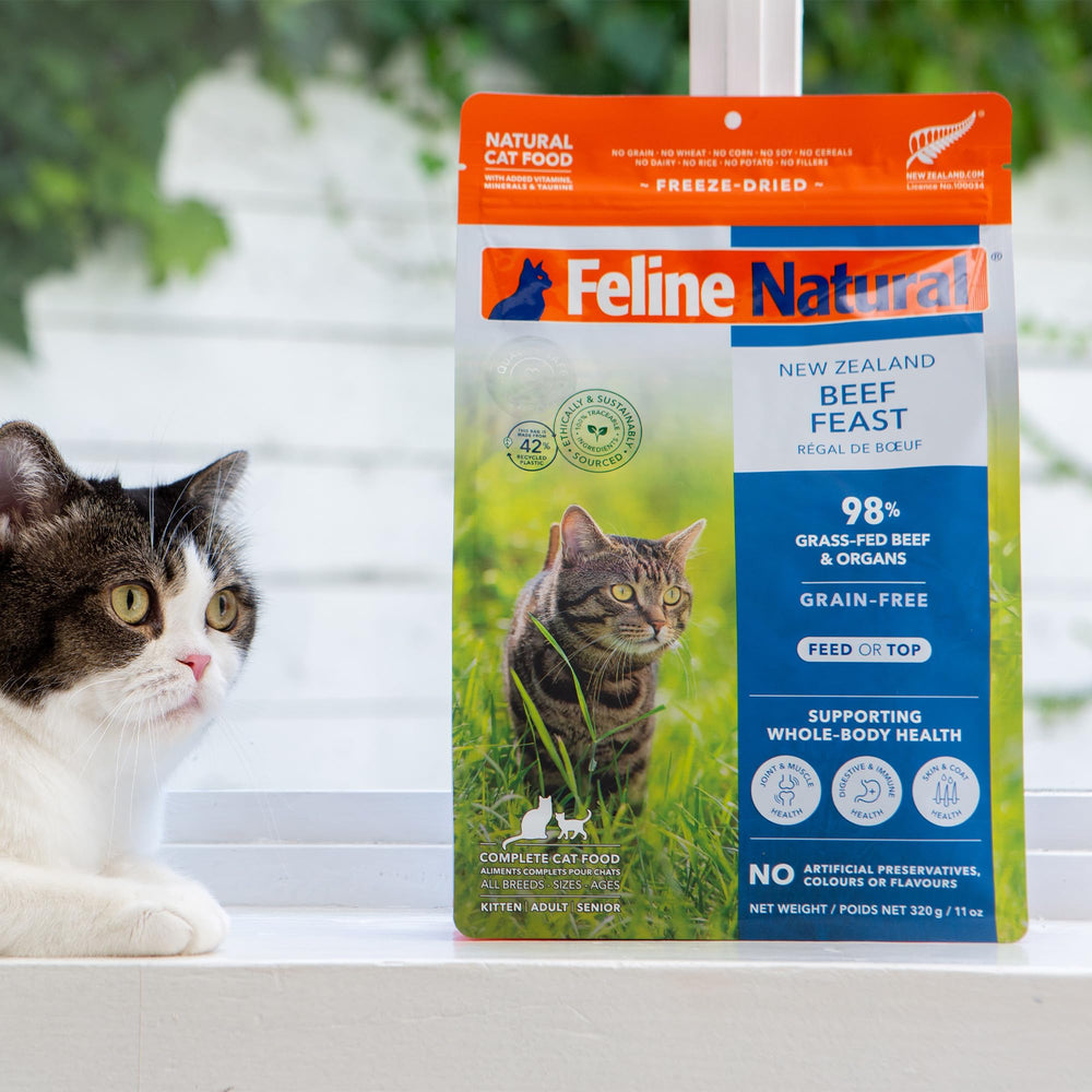 Feline Natural no-peas-no-grains icon emphasizes grain-free formula benefits.