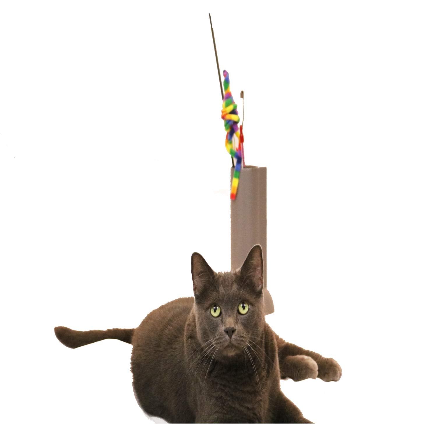 Feline Ruff in-use shot shows tidy wand organization and quick access.