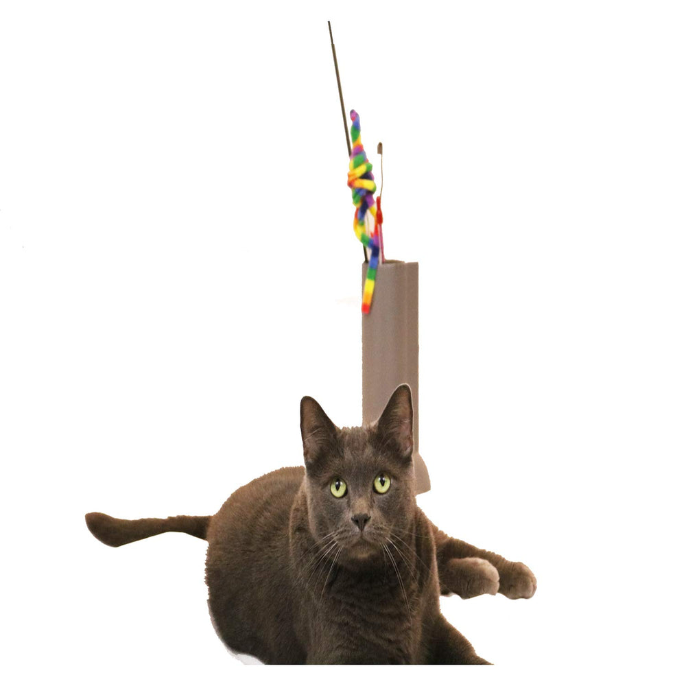 Feline Ruff in-use shot shows tidy wand organization and quick access.