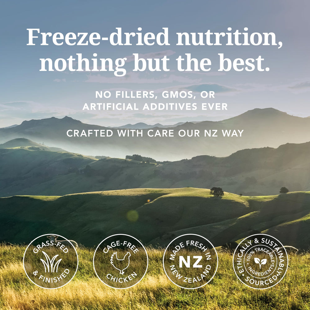 Feline Natural freeze-dried meat closeup demonstrates premium protein for active cats.