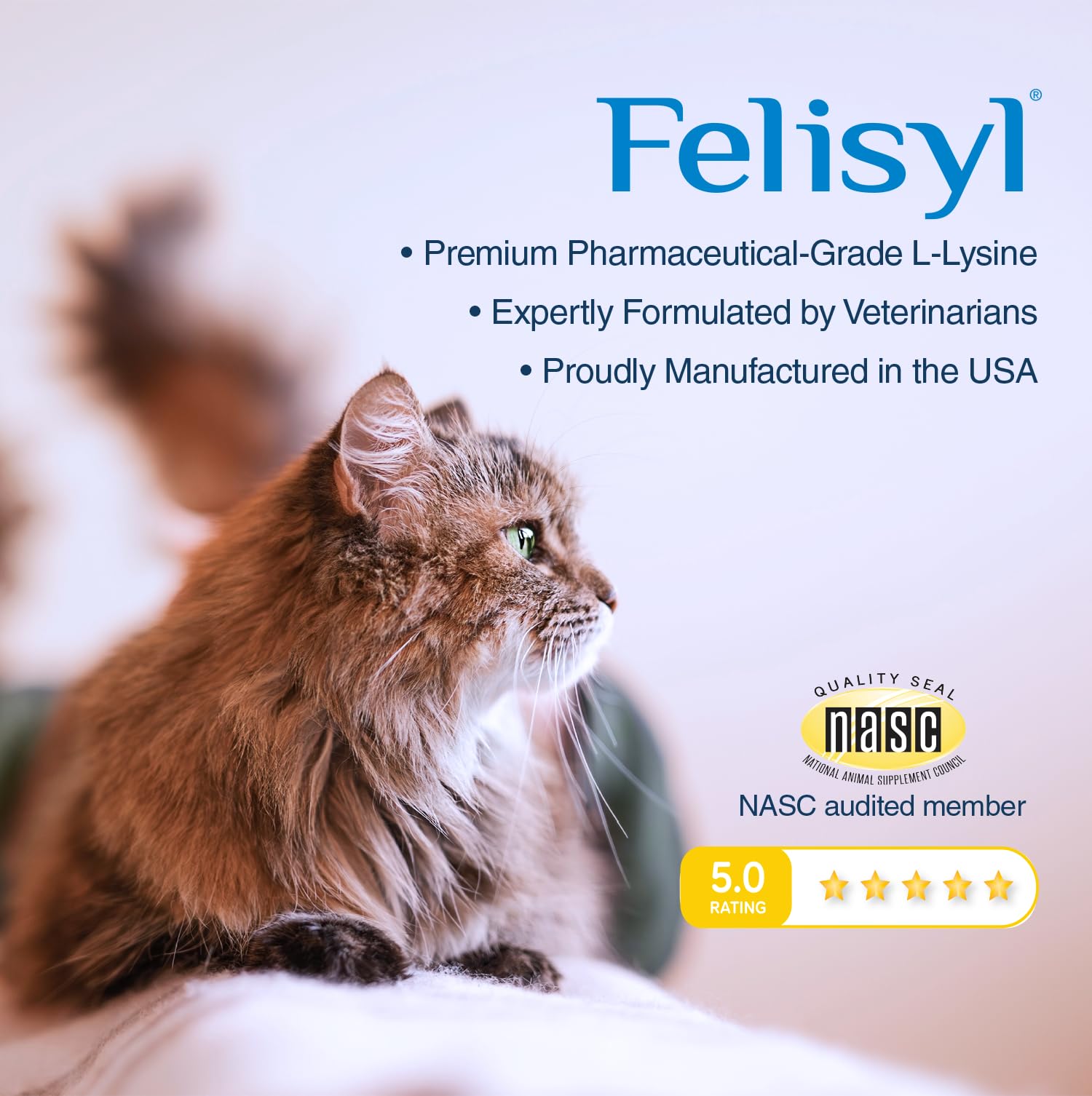Cat licking Felisyl Lysine Gel on paw showing simple daily administration