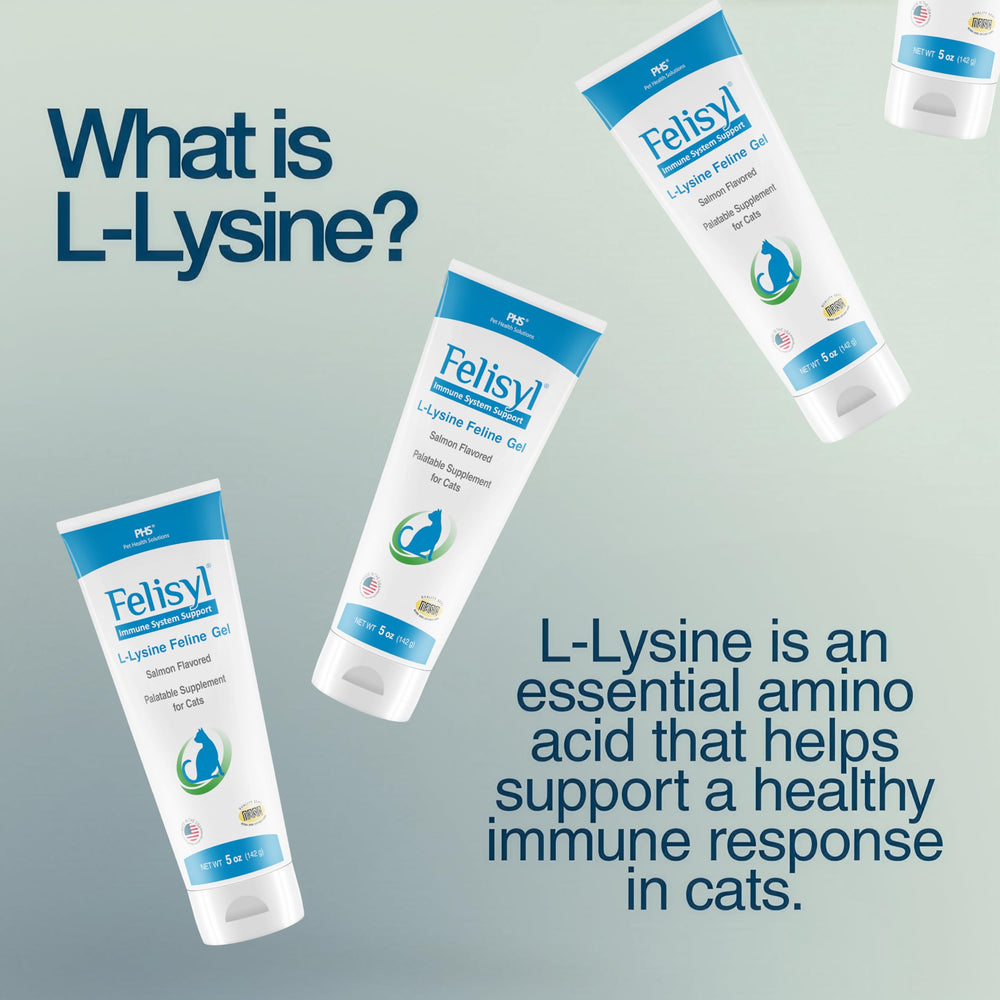 Close-up Felisyl Lysine Gel label highlighting salmon flavor for easy dosing