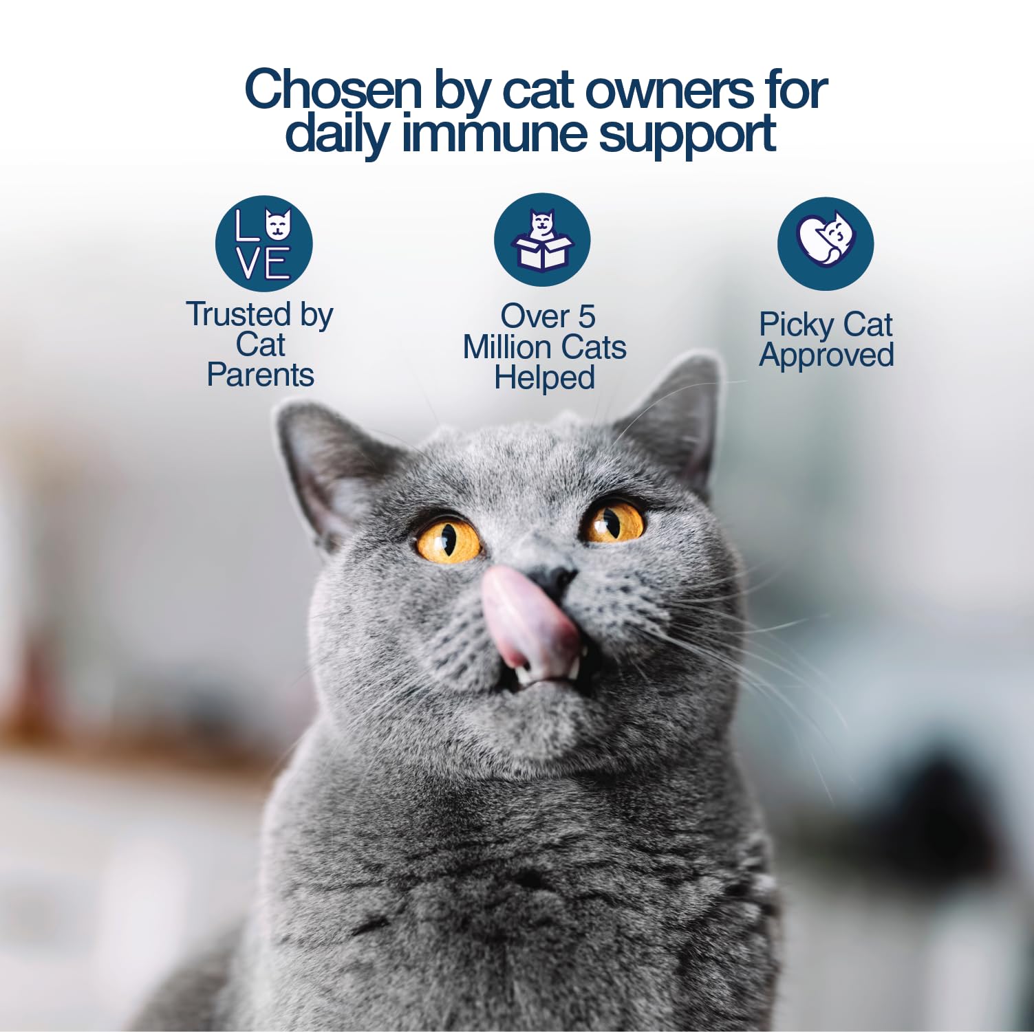 Felisyl Lysine Gel vet-formulated badge indicating professional-backed support