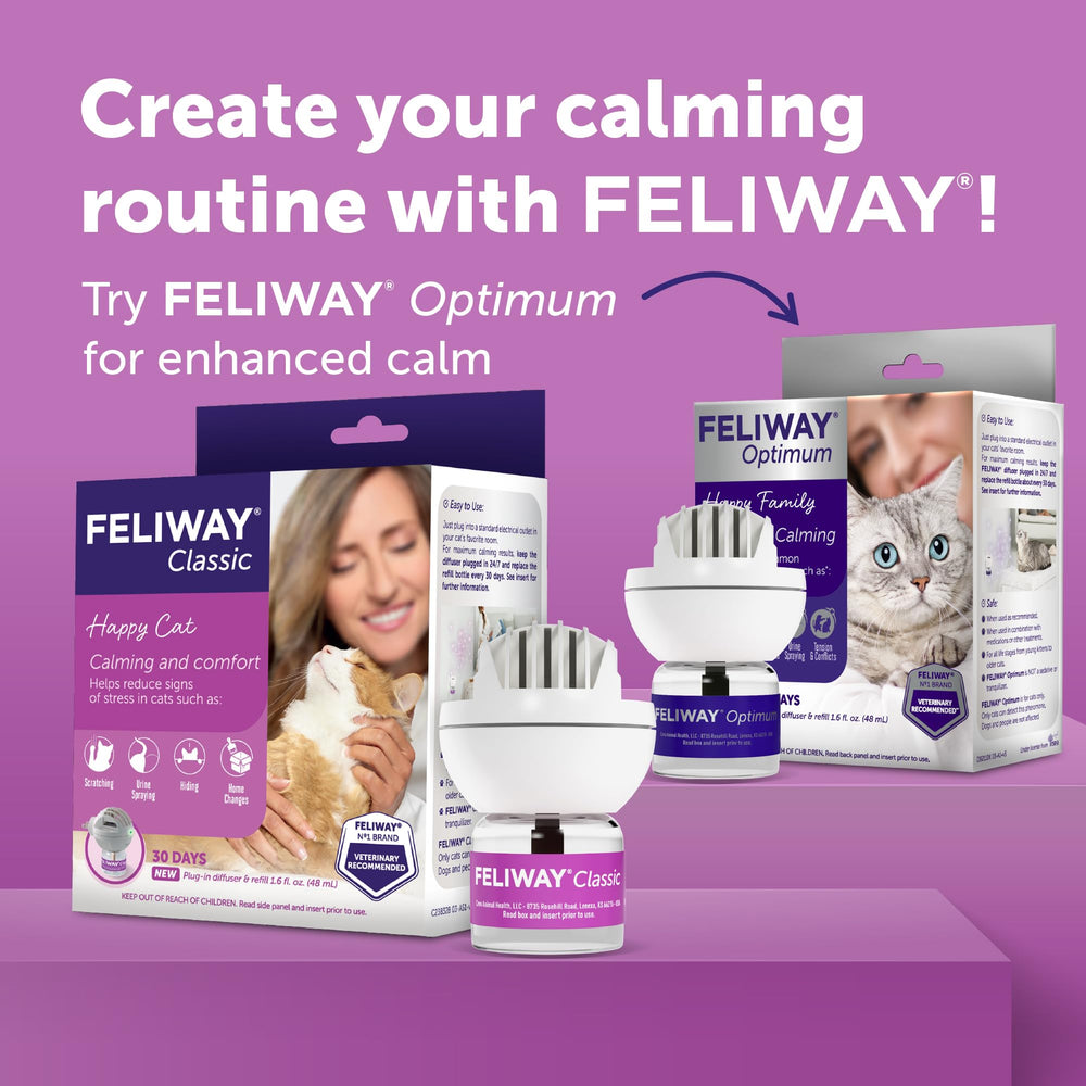 Cat appears relaxed in a calmer space using FELIWAY Classic.