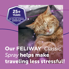 FELIWAY Classic Spray on a bed or blanket helps your cat relax.