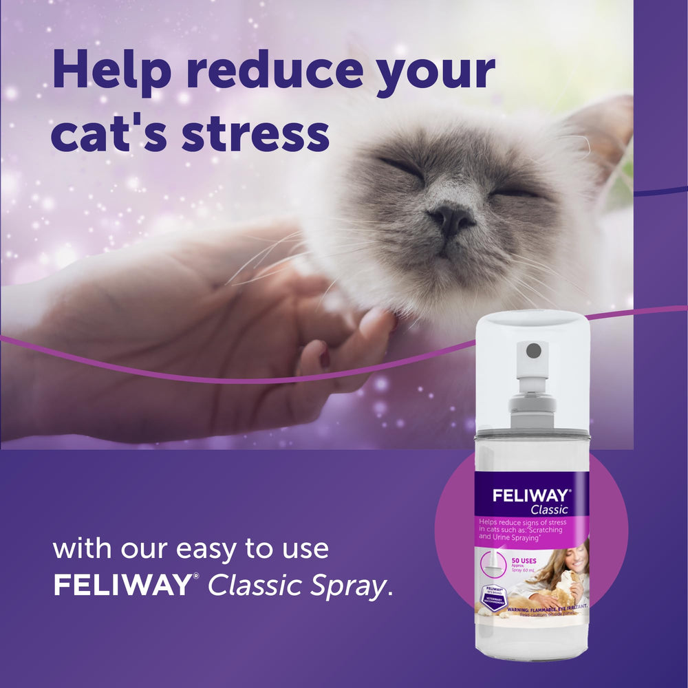 FELIWAY Classic Spray on carriers creates a reassuring space for road trips.
