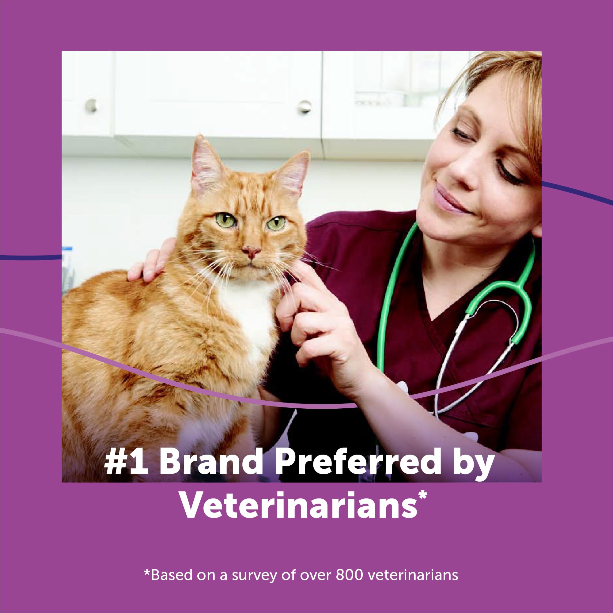 FELIWAY Classic Spray helps ease vet visits with familiar calming signals.