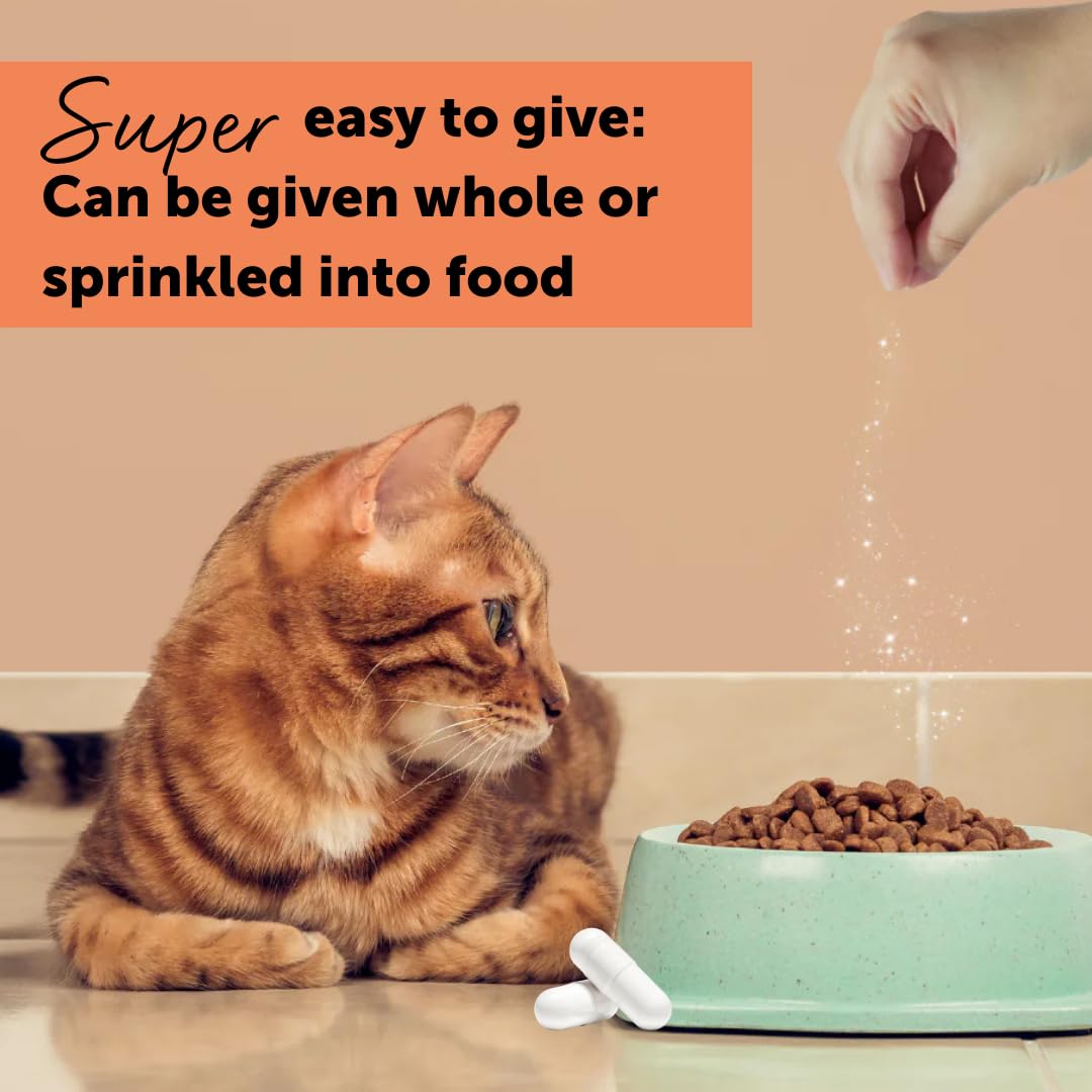 Combination of FELIWAY Classic and Cystease for stress-related support