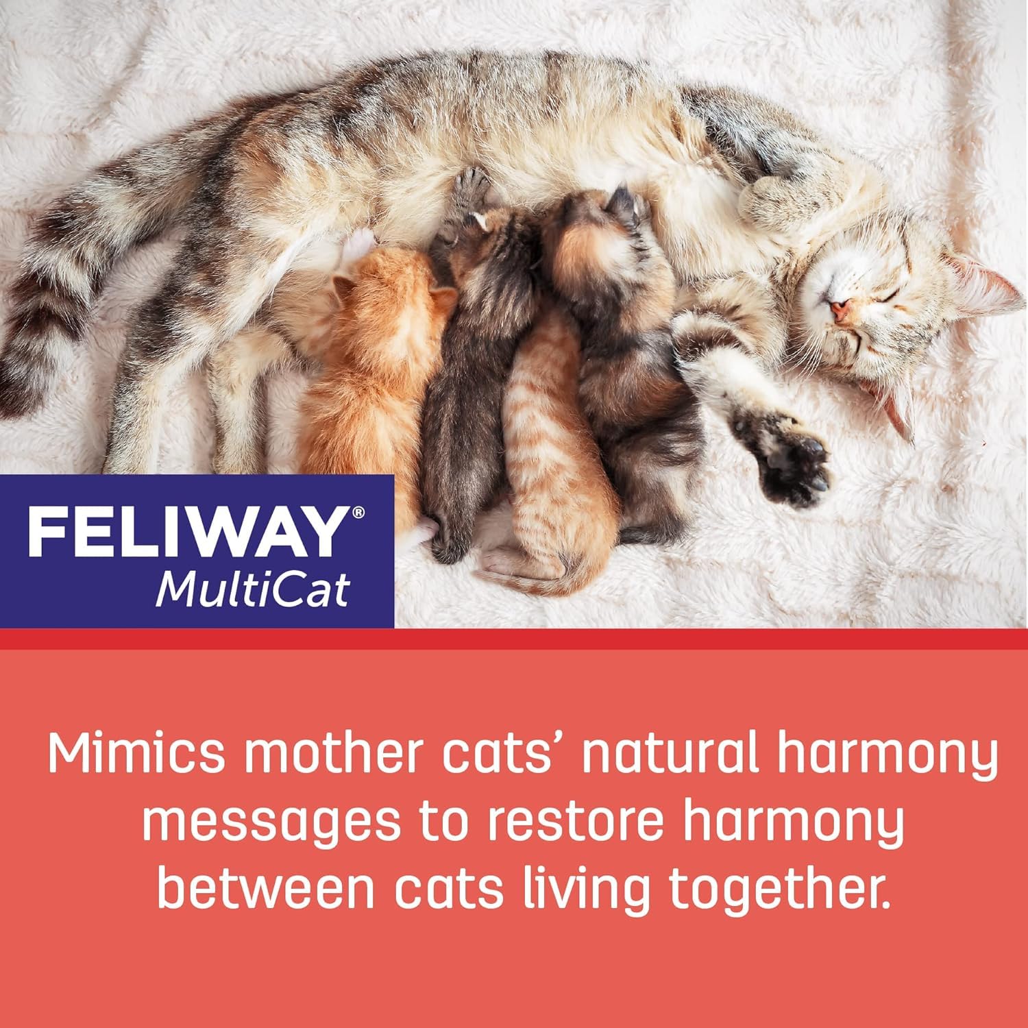 Feliway diffuser in living room setup for easy, unobtrusive use.
