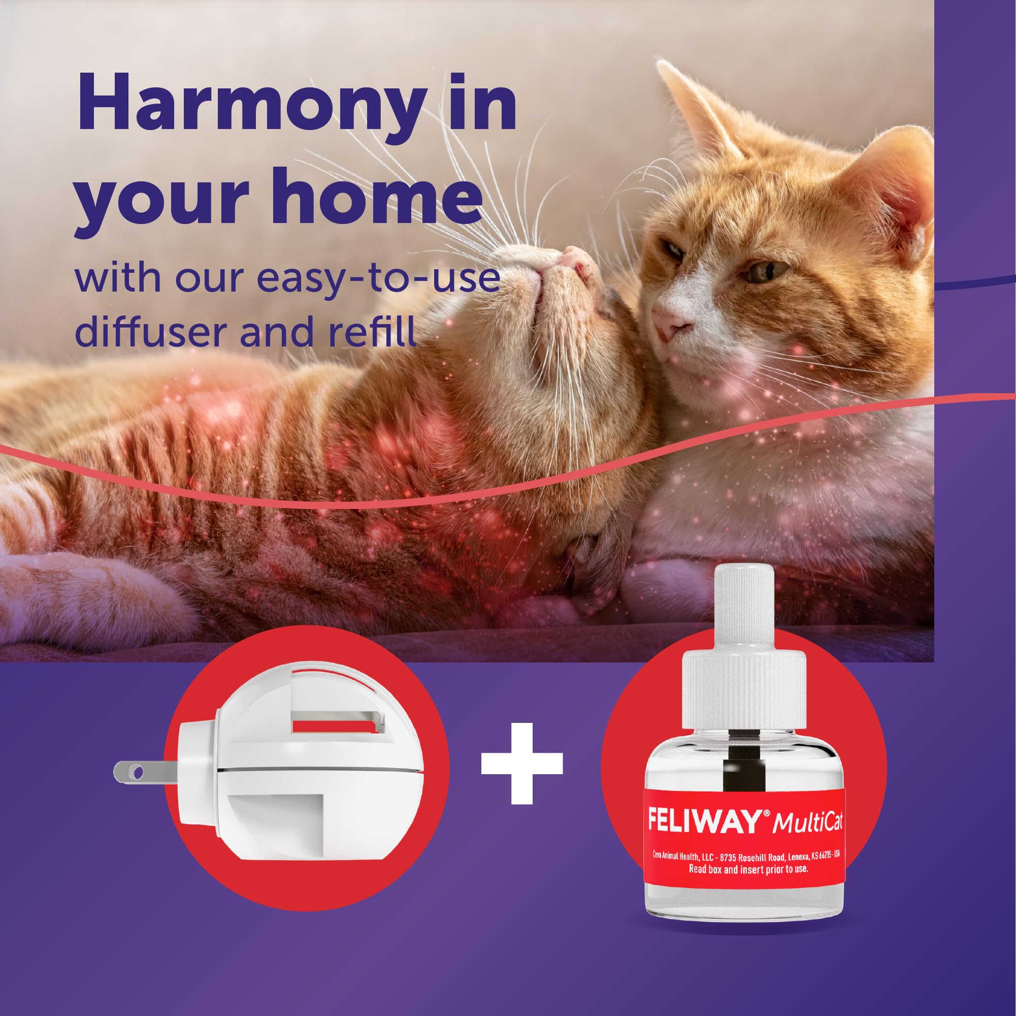 Feliway MultiCat diffuser reduces tension as cats lounge together.