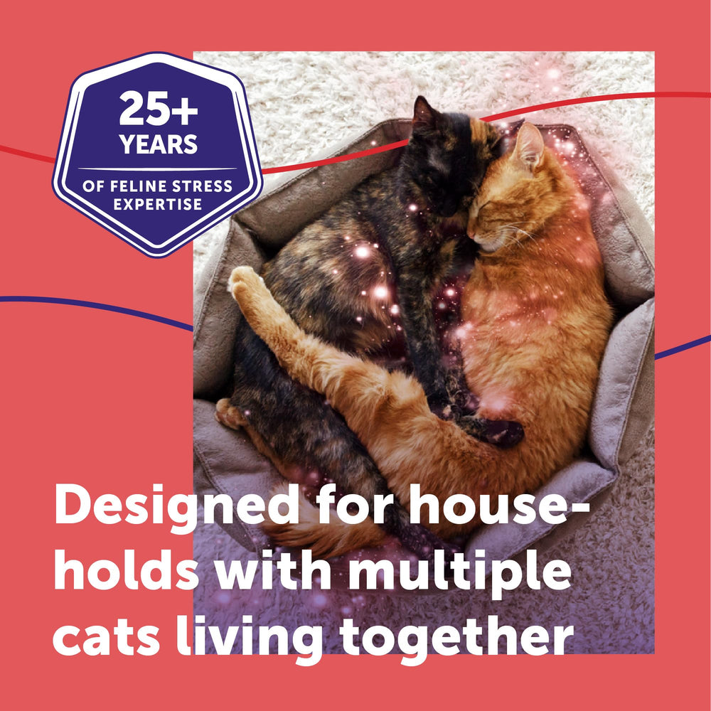 Feliway MultiCat packaging with usage guidance for calm homes.