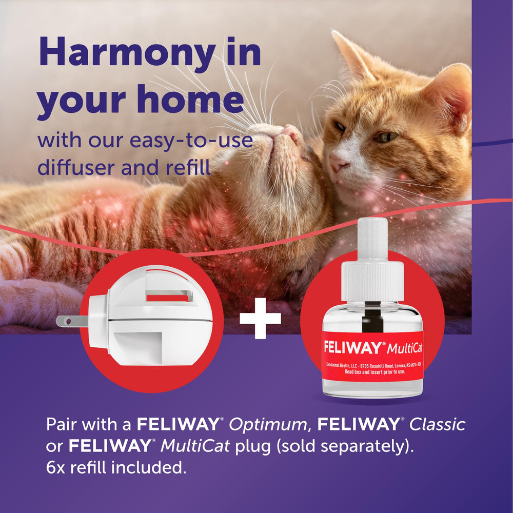 Calming pheromone messages from Feliway MultiCat ease cat tensions.
