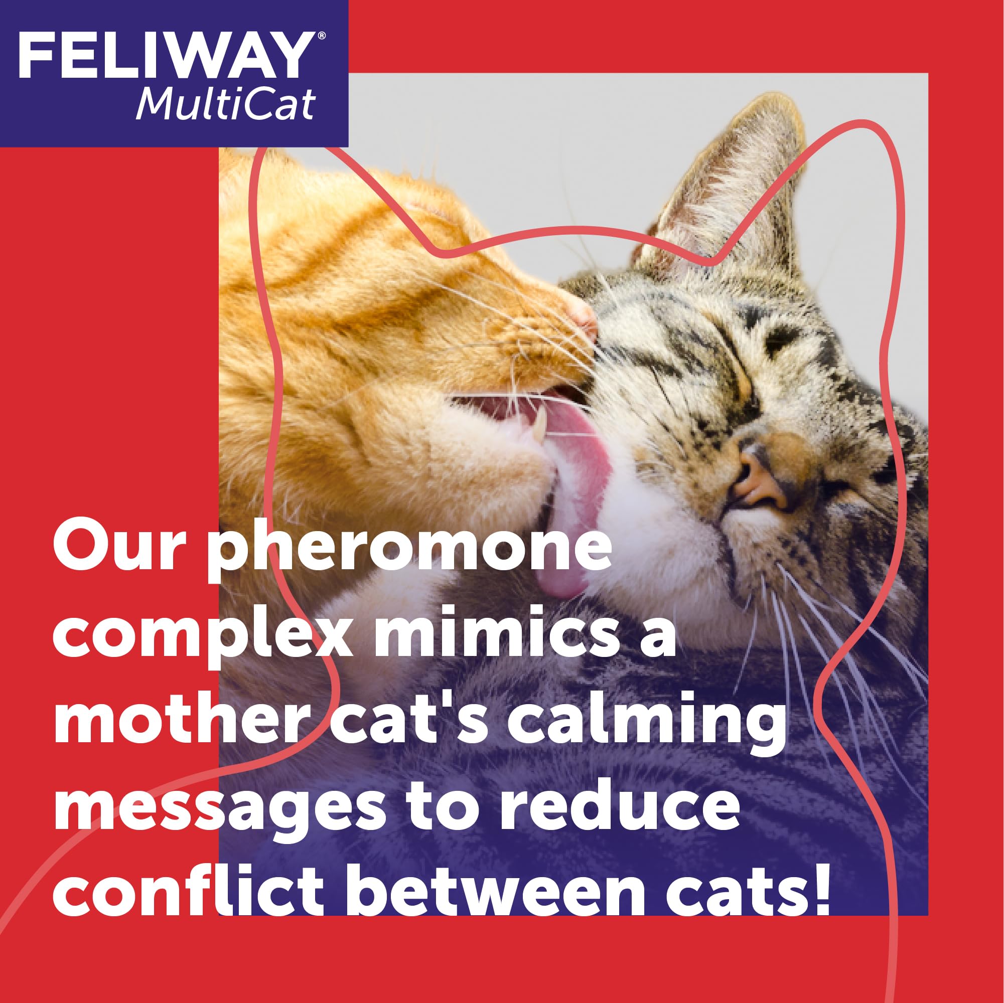 FELIWAY MultiCat refill packaging shows the 48ml bottle