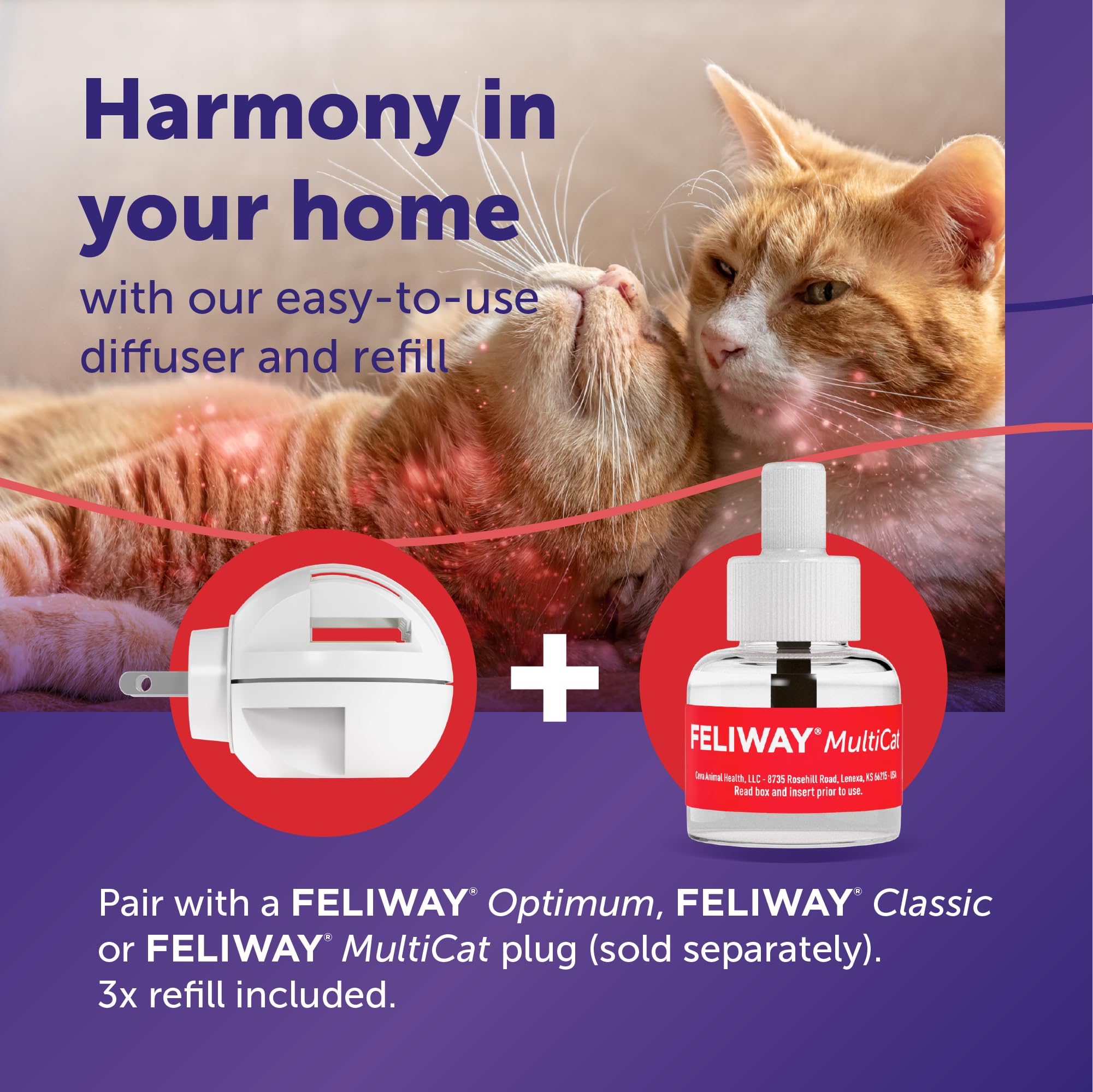 FELIWAY MultiCat tension signs illustration with reduced cat conflict