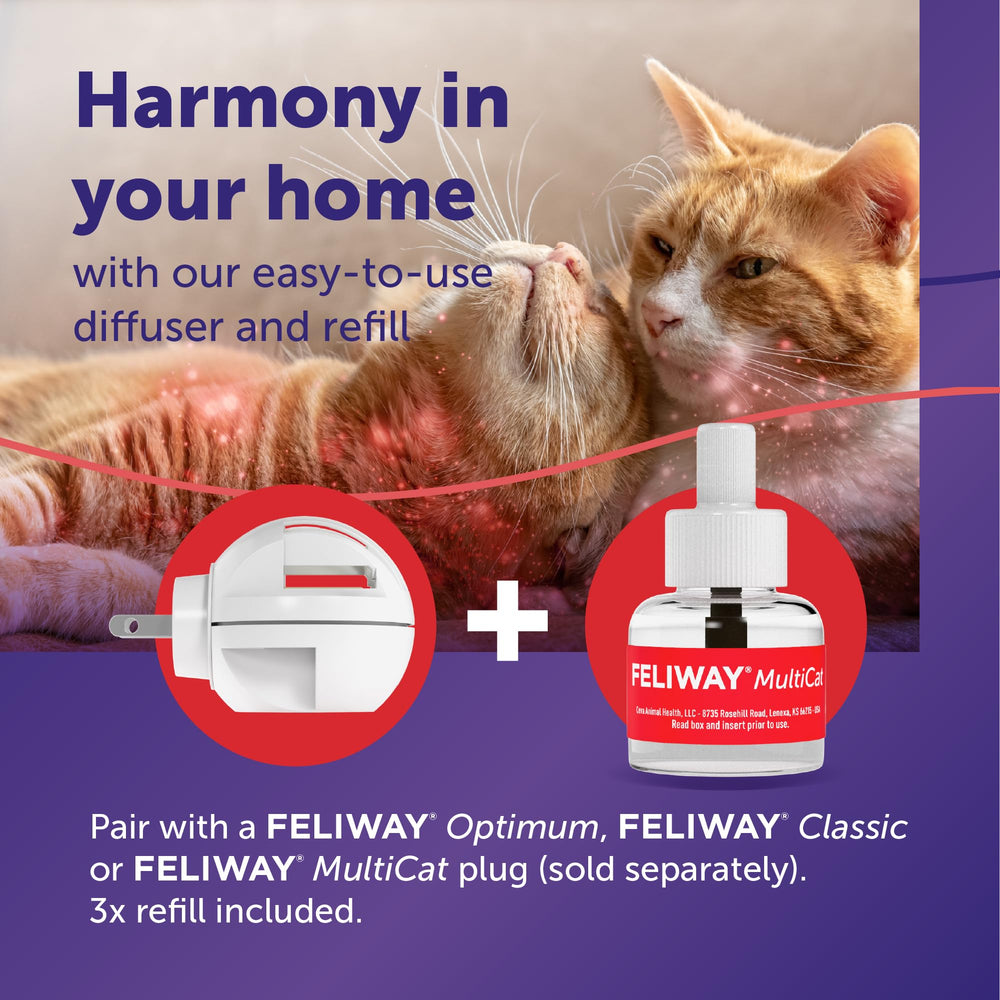 FELIWAY MultiCat tension signs illustration with reduced cat conflict