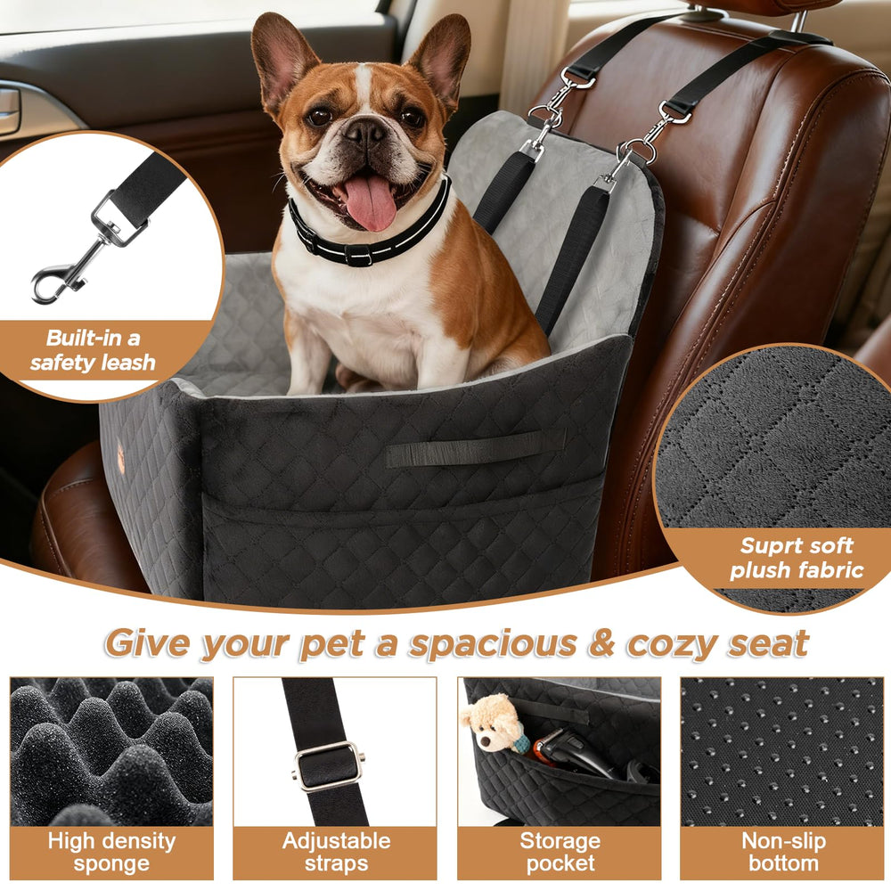 Felixora elevated design gives better outside view during drives.
