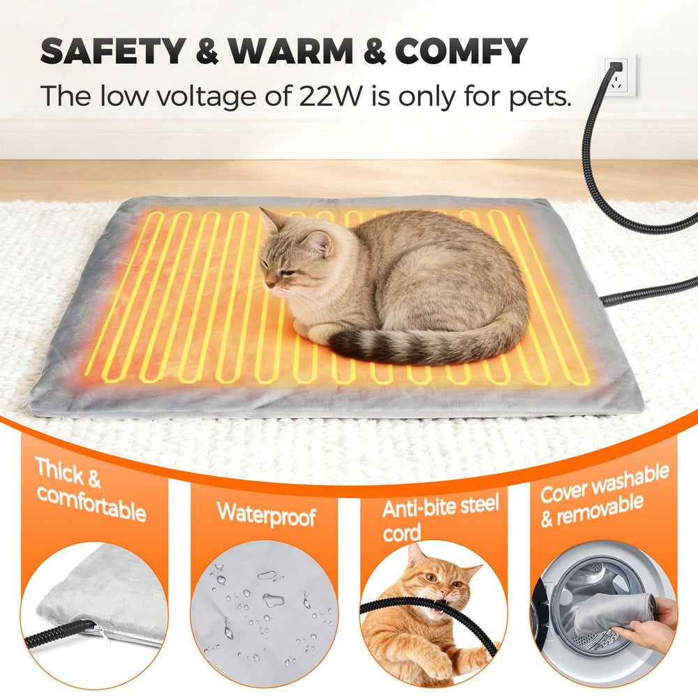 Felixora two-exits design provides escape routes for felines.