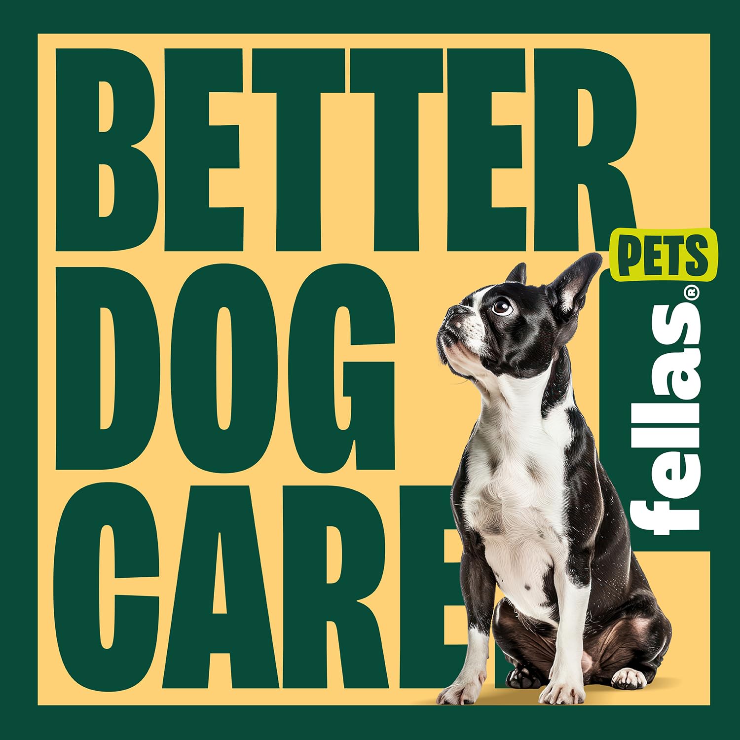 Fellas Pets hip joint support chew for active dogs.