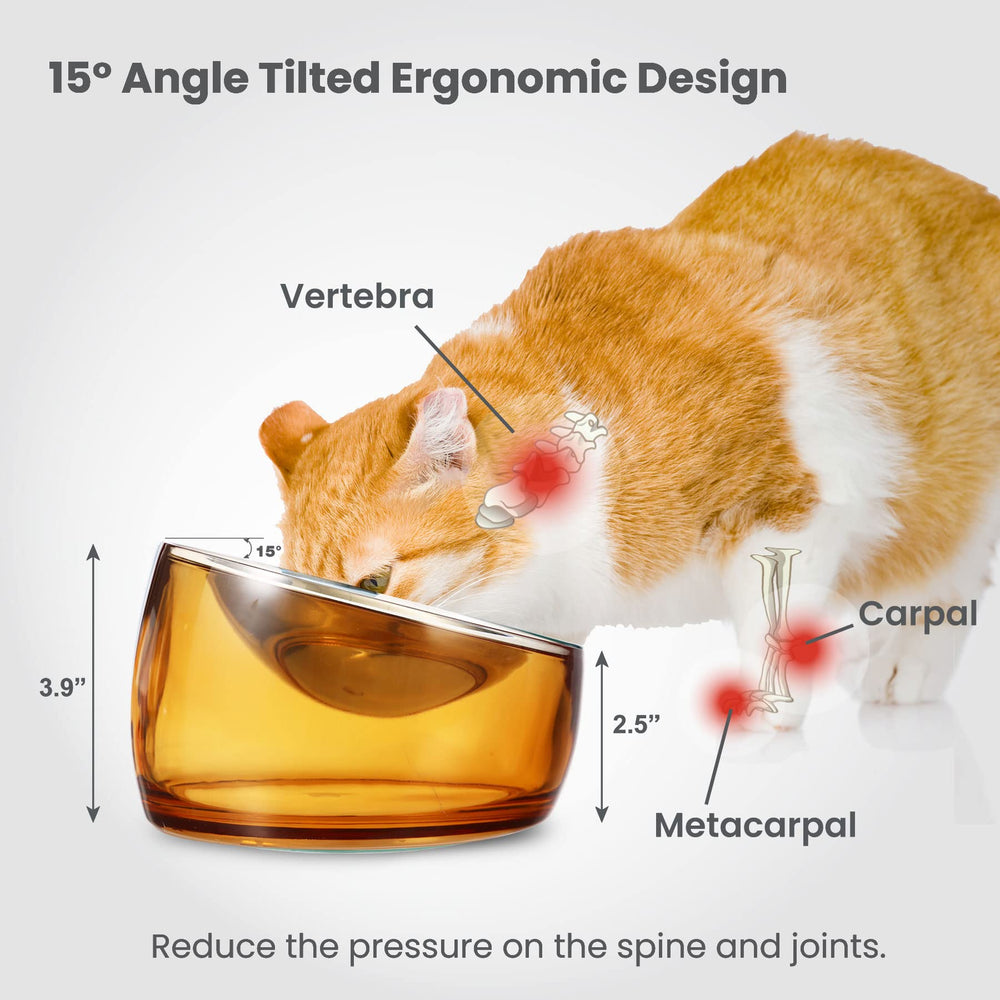 Felli Oblik acrylic base with storage keeps treats handy.