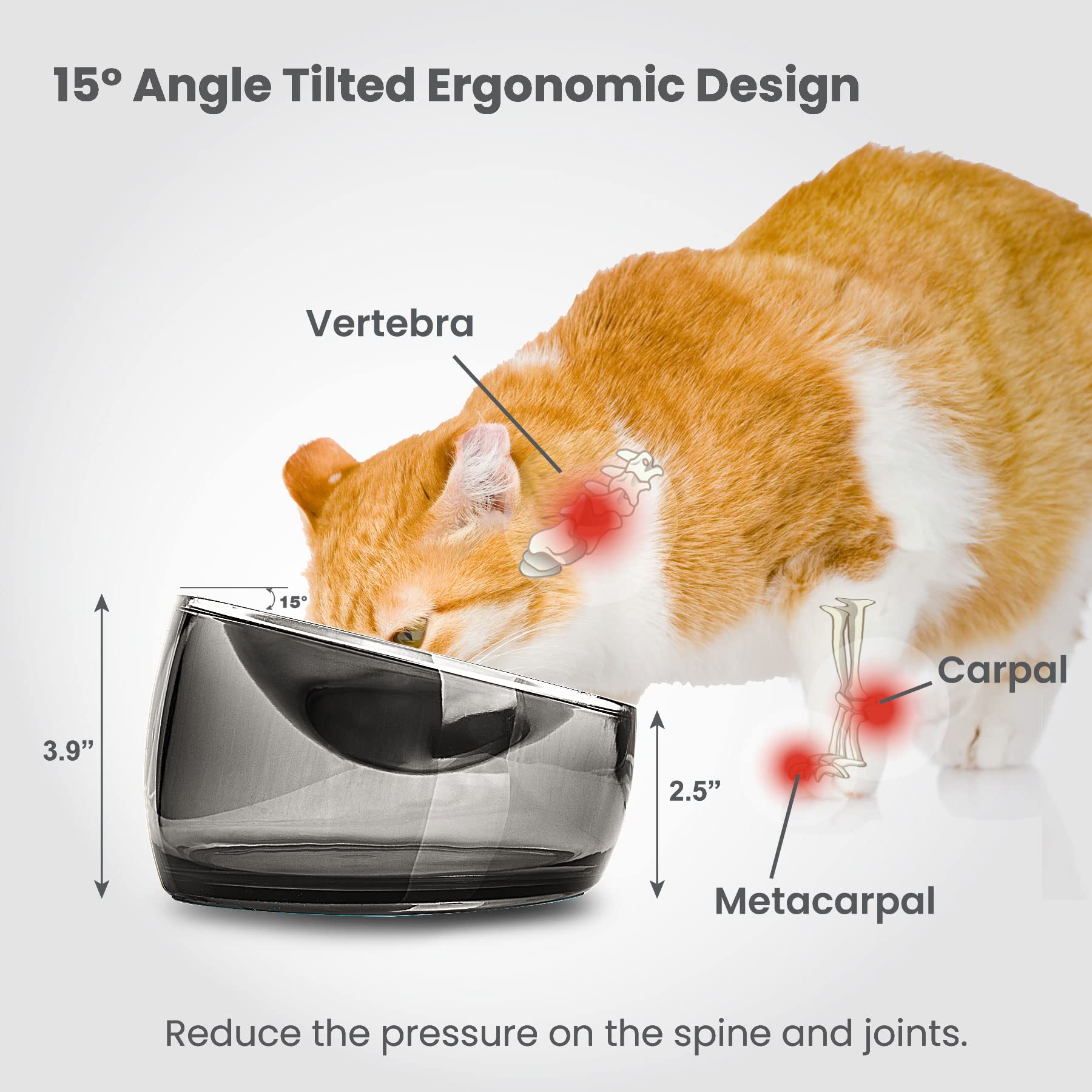 Cat eating from an elevated Felli Oblik bowl showing improved feeding posture.